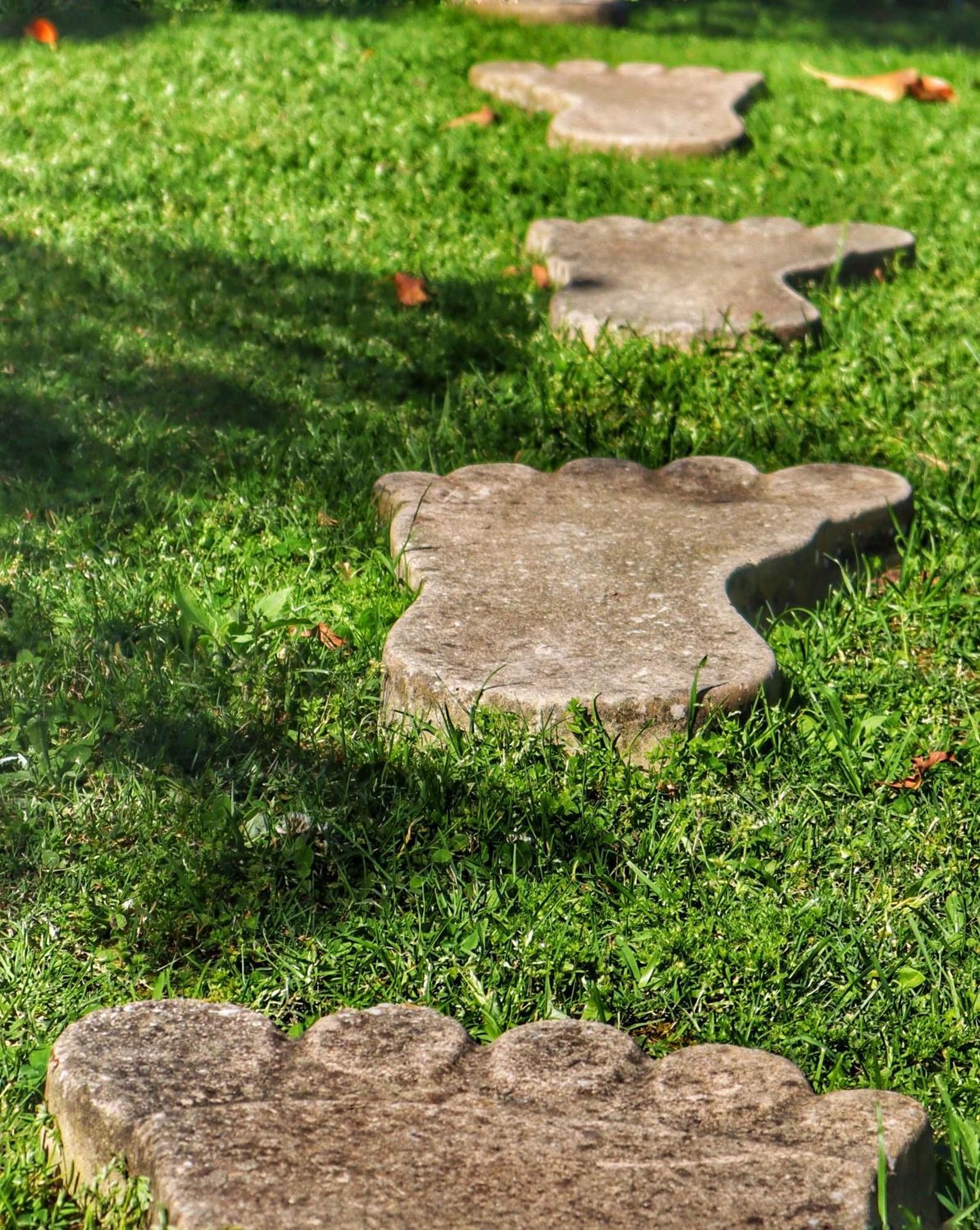 Ferienwohnung Footprints Of Knysna Exterior foto