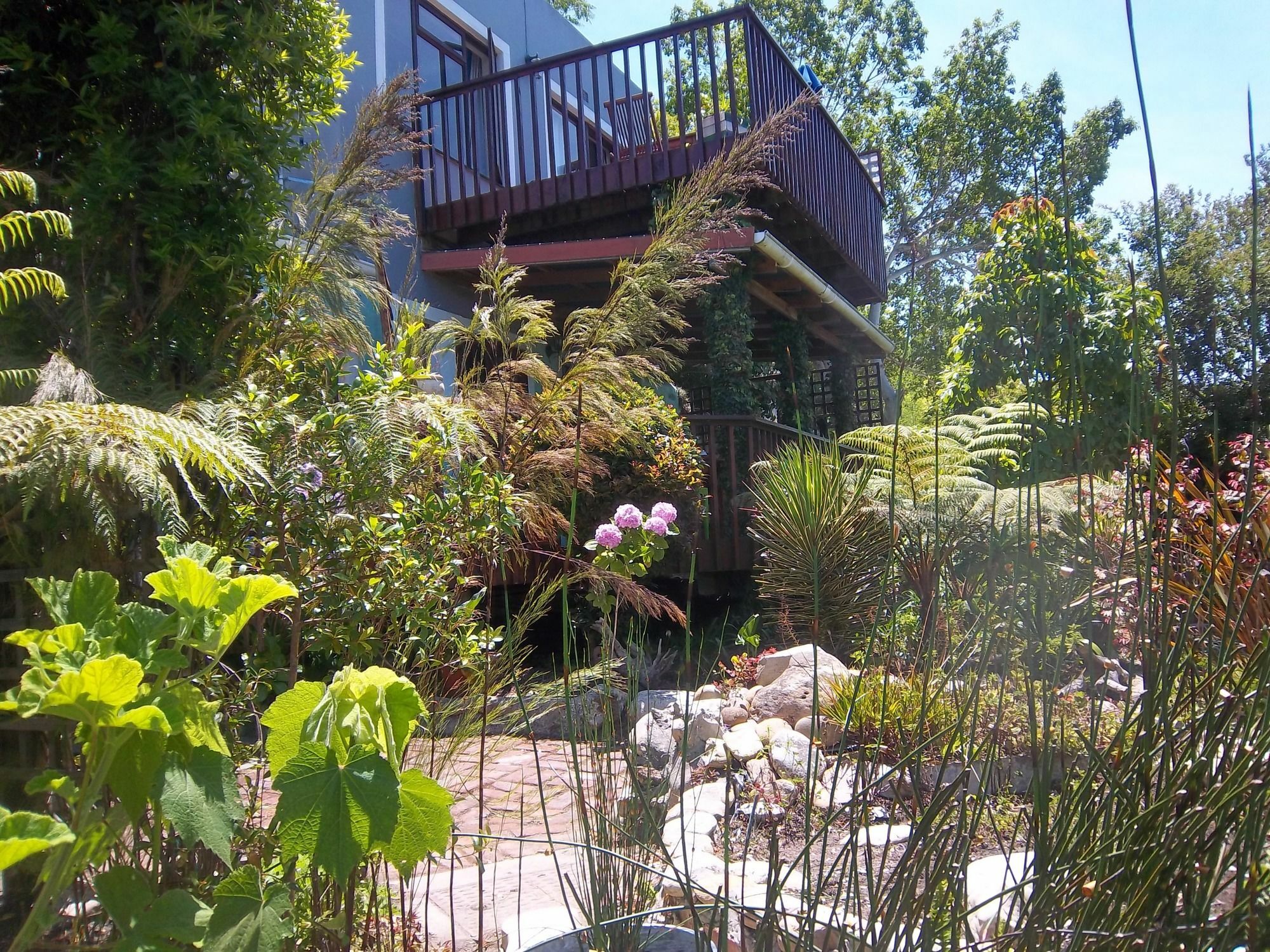 Ferienwohnung Footprints Of Knysna Exterior foto